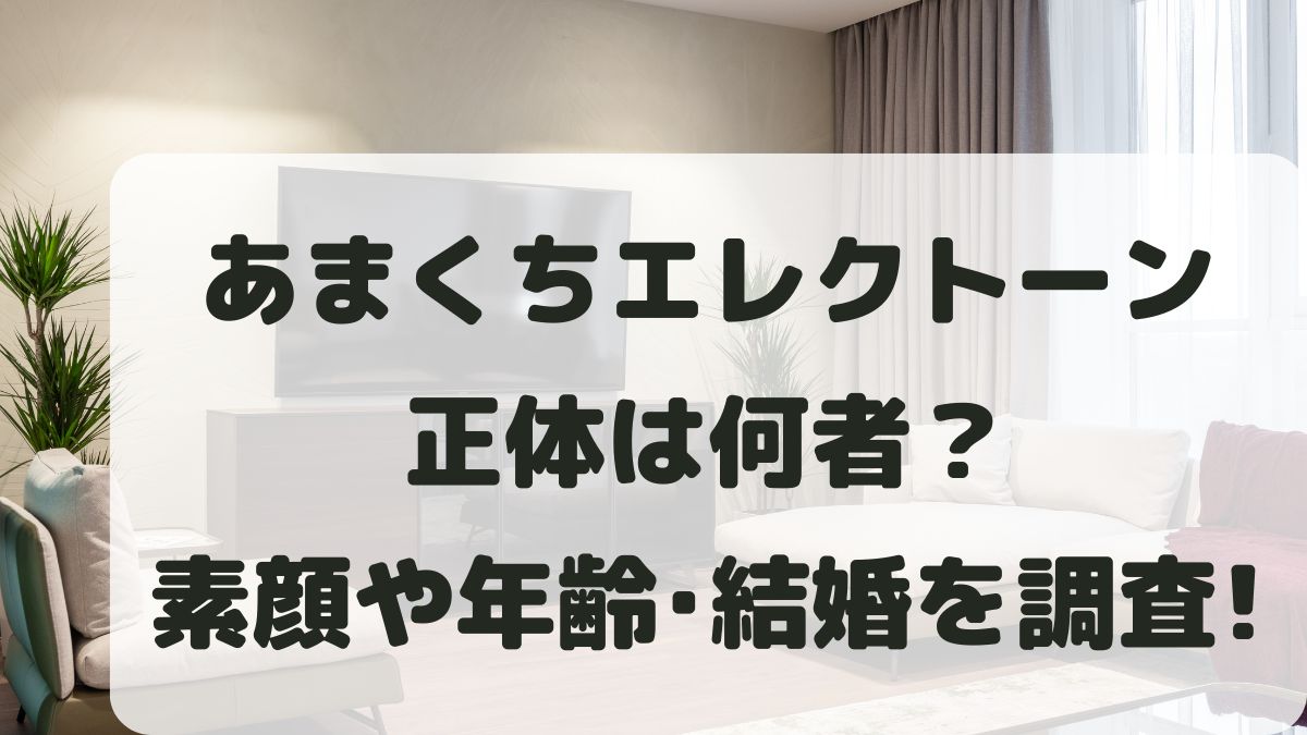 あまくちエレクトーンの正体は何者？素顔や年齢･結婚などプロフィールを調査！