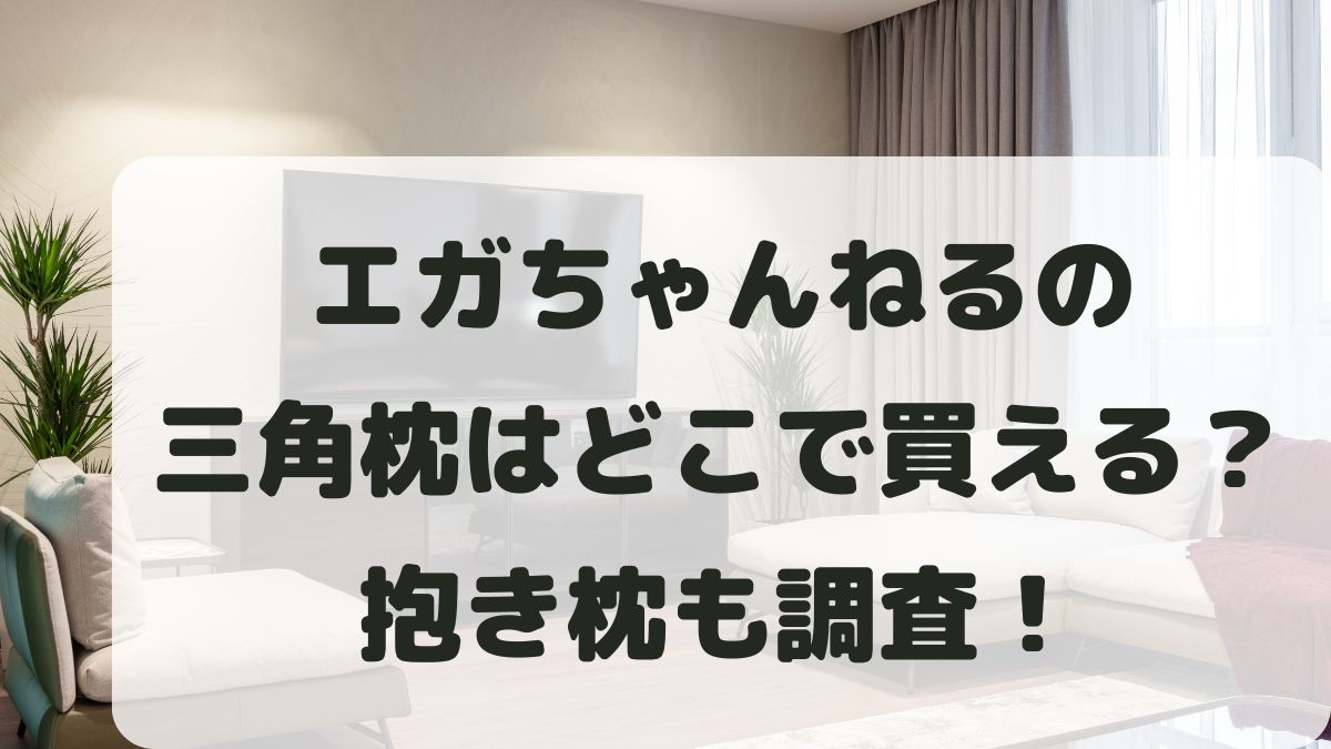 エガちゃんねるの三角枕はどこで買える？売ってる店や通販･価格も調査！