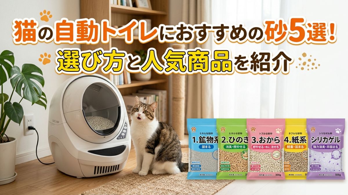 猫の自動トイレにおすすめの砂5選！選び方と人気商品を紹介